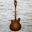 Rickenbacker 360/6 , Walnut: Neck - Rear