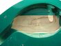 Rickenbacker 620/6 VB, Turquoise: Close up - Free