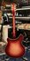 Rickenbacker 360/12 Mod, Fireglo: Full Instrument - Rear
