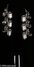 Rickenbacker 1993/12 Plus, Jetglo: Headstock - Rear