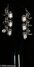 Rickenbacker 1993/12 Plus, Jetglo: Headstock - Rear