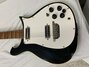 Rickenbacker 460/6 Mod, Fireglo: Body - Front