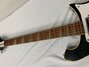 Rickenbacker 460/6 Mod, Fireglo: Neck - Front