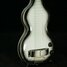 Rickenbacker NS 100/6 LapSteel, Gray Sunburst: Free image
