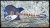 Rickenbacker 360/6 Mod, Midnightblue: Full Instrument - Front