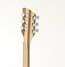 Rickenbacker 360/6 , Mapleglo: Headstock - Rear