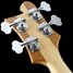 Rickenbacker 4003/4 , Mapleglo: Headstock - Rear