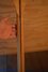 Rickenbacker 3001/4 Mod, Mapleglo: Neck - Rear