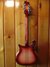 Rickenbacker 660/12 TP, Fireglo: Full Instrument - Rear