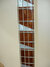 Rickenbacker 4003/4 , Mapleglo: Neck - Front