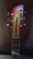 Oct 2022 Rickenbacker 660/6 , Fireglo: Headstock