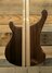 Feb 2023 Rickenbacker 4003/4 , Natural Walnut: Body - Rear