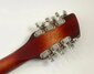 Rickenbacker 660/12 TP, Fireglo: Headstock - Rear