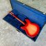 Rickenbacker 330/6 , Fireglo: Full Instrument - Rear