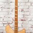 Rickenbacker 360/6 , Mapleglo: Neck - Front
