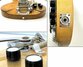 Rickenbacker 325/6 V59, Mapleglo: Close up - Free