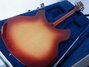 Rickenbacker 330/6 , Fireglo: Full Instrument - Rear