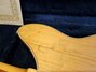 Rickenbacker 370/12 RM, Mapleglo: Close up - Free2