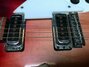 Rickenbacker 330/6 , Fireglo: Close up - Free2