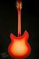 Rickenbacker 360/12 C63, Fireglo: Full Instrument - Rear