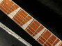 Rickenbacker 620/6 , Santa Ana Skyglo: Neck - Front