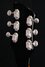 Rickenbacker 325/6 JL, Jetglo: Headstock - Rear