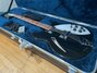 Rickenbacker 360/12 , Jetglo: Free image
