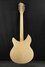 Rickenbacker 1993/12 Plus, Mapleglo: Full Instrument - Rear