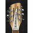 Feb 2023 Rickenbacker 360/12 , Mapleglo: Headstock