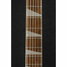 Rickenbacker 360/12 , Mapleglo: Neck - Front