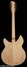 Rickenbacker 1993/12 Plus, Mapleglo: Full Instrument - Rear