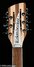 Feb 2023 Rickenbacker 360/12 , Mapleglo: Headstock