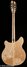 Rickenbacker 360/12 , Mapleglo: Full Instrument - Rear