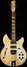 Rickenbacker 1993/12 Plus, Mapleglo: Full Instrument - Front