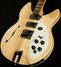 Rickenbacker 1993/12 Plus, Mapleglo: Body - Front