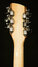 Rickenbacker 1993/12 Plus, Mapleglo: Headstock - Rear