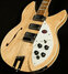 Rickenbacker 1993/12 Plus, Mapleglo: Body - Front