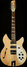 Rickenbacker 1993/12 Plus, Mapleglo: Full Instrument - Front
