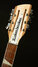 Mar 2023 Rickenbacker 1993/12 Plus, Mapleglo: Headstock