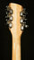 Rickenbacker 1993/12 Plus, Mapleglo: Headstock - Rear