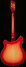 Rickenbacker 360/6 , Fireglo: Full Instrument - Rear