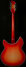 Rickenbacker 360/12 C63, Fireglo: Full Instrument - Rear