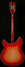 Rickenbacker 360/12 C63, Fireglo: Full Instrument - Rear