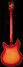 Rickenbacker 4005/4 XC 90th Anniversary, Amber Fireglo: Full Instrument - Rear