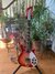 Rickenbacker 620/6 , Fireglo: Full Instrument - Front