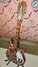 Rickenbacker 360/12 f hole, Custom: Full Instrument - Front
