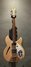 Rickenbacker 330/6 , Mapleglo: Full Instrument - Front