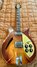 Rickenbacker 360/6 Capri, Autumnglo: Free image2
