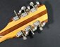 Rickenbacker 360/12 , Natural: Headstock - Rear