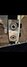 Rickenbacker 4003/4 , Jetglo: Close up - Free